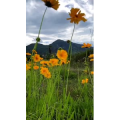 旅行风景527
