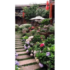 旅行风景538