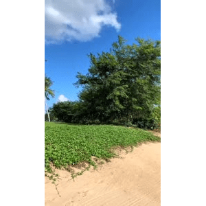 旅行风景548
