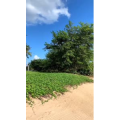 旅行风景548