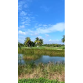 旅行风景557