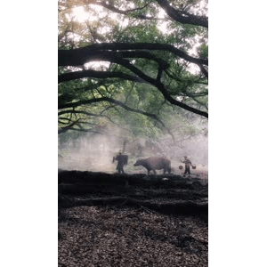 旅行风景572