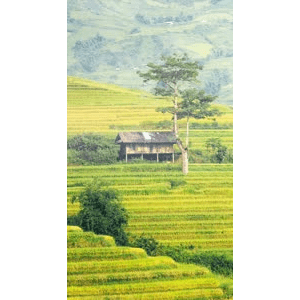 旅行风景577