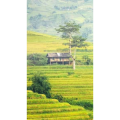 旅行风景577