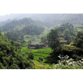 旅行风景580