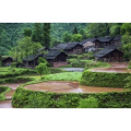 旅行风景585
