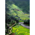 旅行风景587