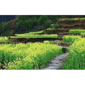 旅行风景588