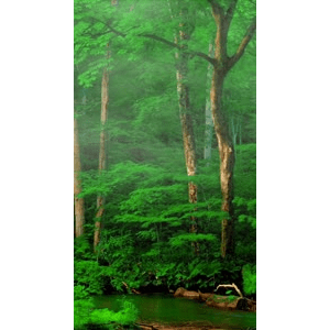 旅行风景589
