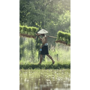 旅行风景591