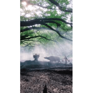旅行风景594