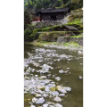 旅行风景596