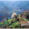 旅行风景600