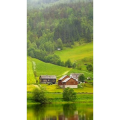 旅行风景602