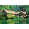 旅行风景608