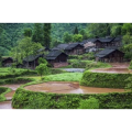 旅行风景611