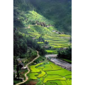 旅行风景612