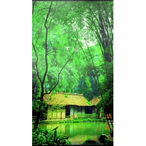 旅行风景619