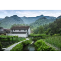 旅行风景622