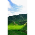 旅行风景625