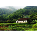 旅行风景636