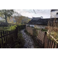 旅行风景650