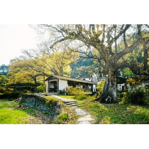 旅行风景654