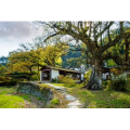 旅行风景661