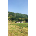 旅行风景671