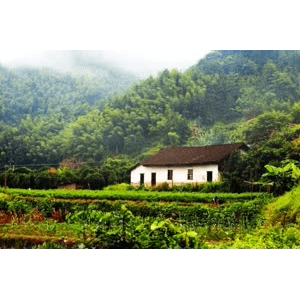 旅行风景679