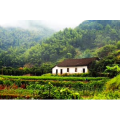 旅行风景679