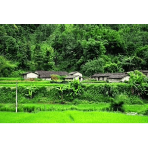 旅行风景685
