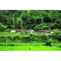 旅行风景685