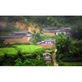 旅行风景692