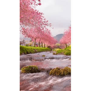 旅行风景696