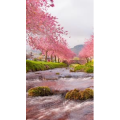旅行风景696