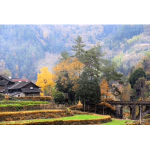 旅行风景703