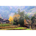 旅行风景703