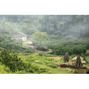 旅行风景705