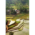 旅行风景716