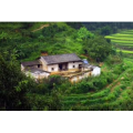 旅行风景719
