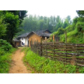 旅行风景721