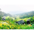 旅行风景723