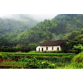 旅行风景725