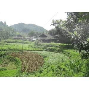 旅行风景726