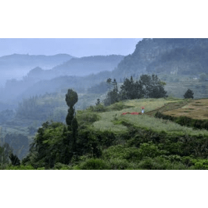 旅行风景729
