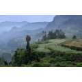 旅行风景729