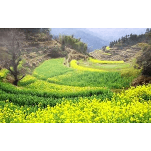 旅行风景733
