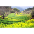 旅行风景733