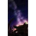 旅行风景734